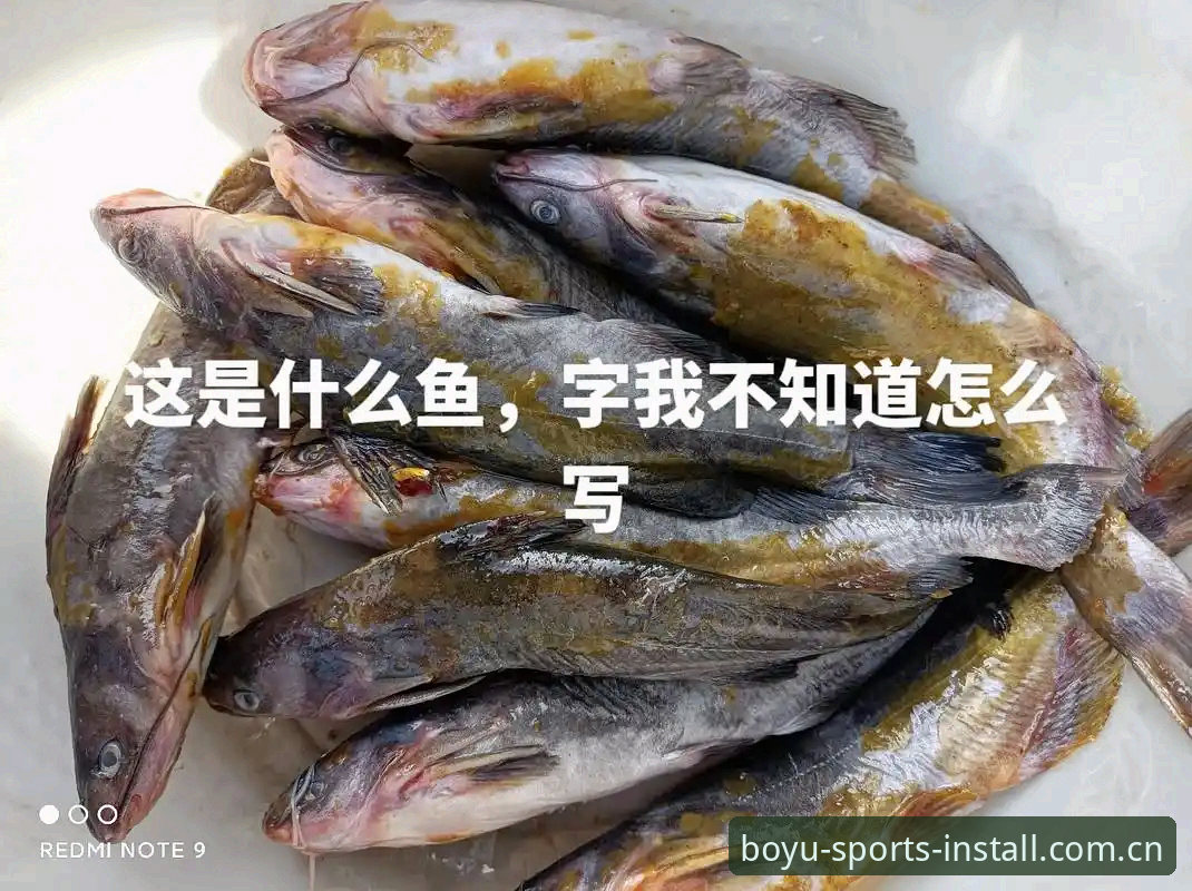 深度揭秘：博鱼体育App这些隐藏功能，老用户都不一定全知道